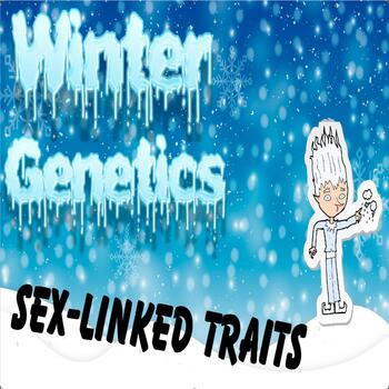Preview of Winter Genetics, Heredity, and Inheritance Punnett Square SEX-LINKED TRAITS