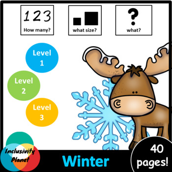 Preview of Winter HOW MANY, WHAT SIZE, WHAT? Adapted book Level 1, Level 2 and Level 3