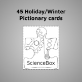 Winter & Holiday Pictionary Cards