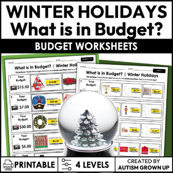 Preview of Winter Holidays Budget | Life Skills Worksheets for Special Education
