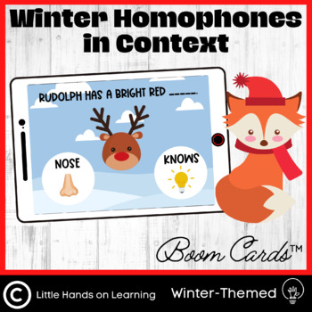 Preview of Winter Homophones in Context Boom Cards