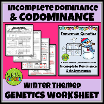 Preview of Winter Incomplete & Codominance - Snowman Punnett Squares Worksheet
