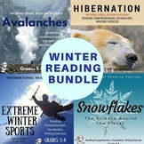 Winter Informational Reading Bundle