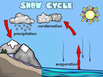 snow cycle