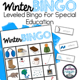 Winter Leveled Bingo Game for Special Education and Autism