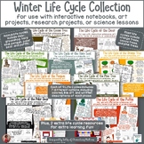 Winter Life Cycle Bundle: 9 Different Plants and Animals