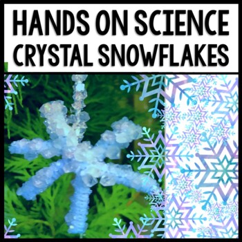 Preview of Winter - Science - Crystal Snowflakes - STEM - Special Education