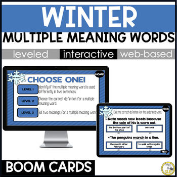 Preview of Winter Multiple Meaning Words - Vocabulary Skill Builder - Digital Boom Cards
