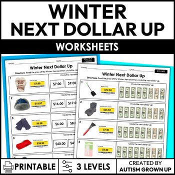 Preview of Winter Next Dollar Up | Life Skills Worksheets for Special Education