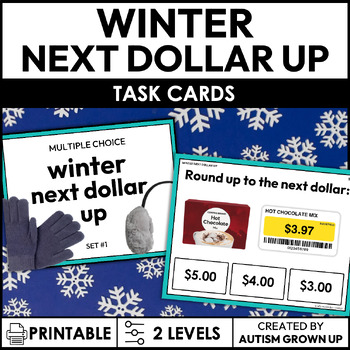 Preview of Winter Next Dollar Up Task Cards for Special Education