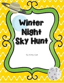 Winter Night Sky Hunt