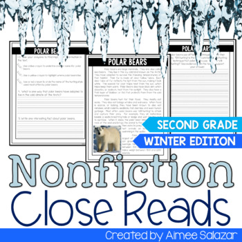 Preview of Winter Nonfiction Reading Passages