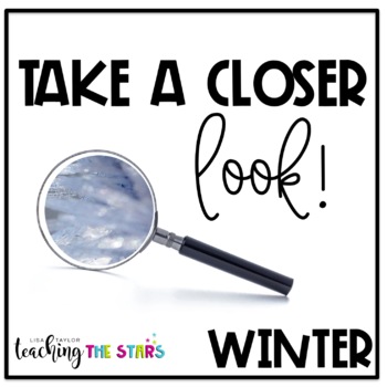 Preview of Winter Picture Observations | Google Slides