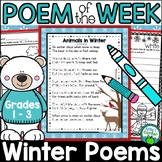 Winter Poem of the Week - Shared Reading Poetry Activities