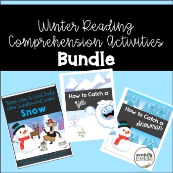 Preview of Winter Reading Comprehension Activities for Special Education