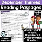 Winter Reading Comprehension Passages Activities and Ancho