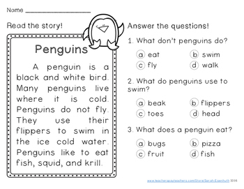 Winter Reading Prehension Passages First Grade By Sarah