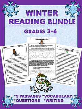Preview of Winter Reading Comprehension Passages Grades 3-6