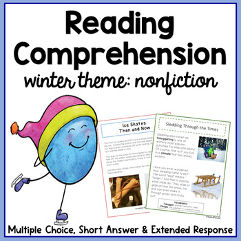 Preview of Winter Reading Comprehension Passages and Questions 3rd Grade