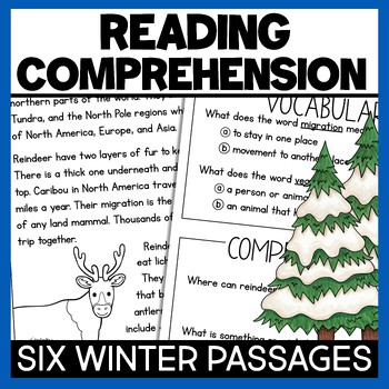 Preview of Winter Reading Comprehension Passages with Questions