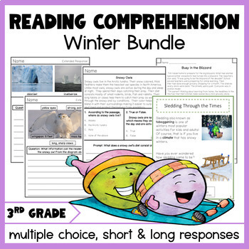 Preview of Winter Reading Comprehension Passages and Questions 3rd Grade Reading Skills