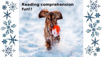Preview of Winter Reading or Auditory Comprehension Fun!!