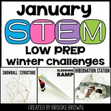 Winter STEM Activities and Challenges (January) BUNDLE
