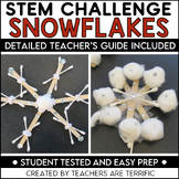 Winter STEM Challenge Design a Snowflake Activity STEAM Project