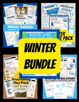 Preview of Winter STEM Projects Bundle