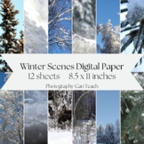 Winter Scenes Digital Paper | Winter Photographs