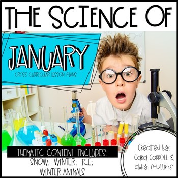 Preview of Winter Science BUNDLE