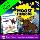Winter Science Activities | Moose Animal Research Flipbook