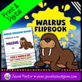 Winter Science Activities | Walrus Animal Research Flipboo
