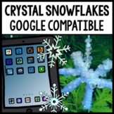Winter - Science - Crystal Snowflakes - STEM - Special Edu