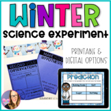 Winter Science Experiment (Digital and Printable)