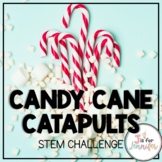 Winter Science | STEM Design Challenge: Candy Cane & Marsh
