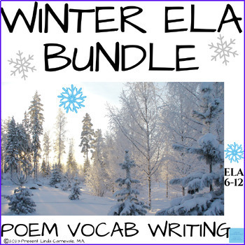 Preview of Winter ELA Activities-Poem Analysis, Middle & High School Vocabulary Activities