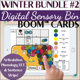Winter Sensory Bins Speech Therapy Boom™ Cards BUNDLE #2 f