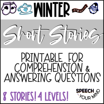 Preview of Winter Short Stories Printable | Winter Story Comprehension & WH-Questions