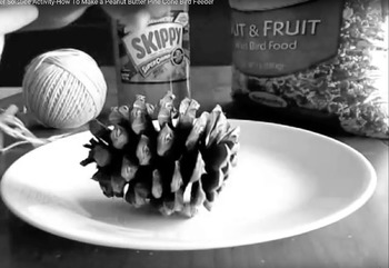 Preview of Winter Solstice Activities - Video Tutorial for Making a Pine Cone Bird Feeder