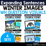 Winter Speech Therapy Activity Bundle | WH Questions | Dig