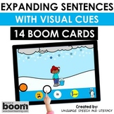 Winter Speech Therapy Boom Cards, WH Questions, Animated V