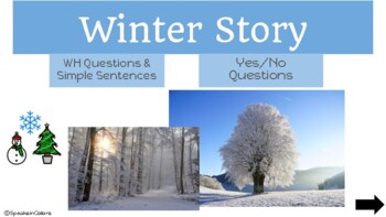 Preview of Winter Story and Questions