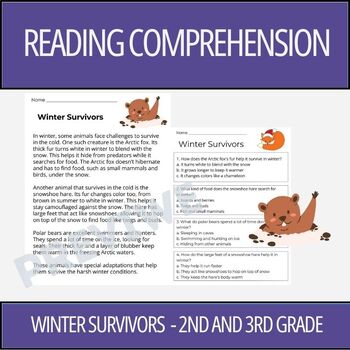 Preview of Winter Survivors - Reading Comprehension Activity | 2nd Grade & 3rd Grade