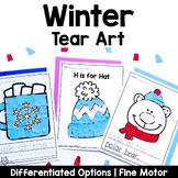 Winter Tear Art Crafts
