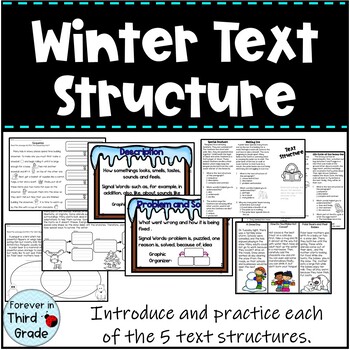 Preview of Winter Text Structure - Informational Text 3rd Grade