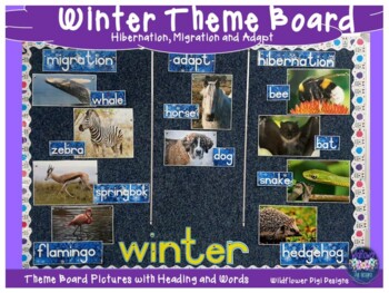 Preview of Winter Theme Board (Migration, Hibernation and Adapt)