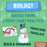 Winter Theme, Codon Chart Practice, Transcription-Translation