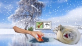 Winter Theme: Feed Arctic Animals Google Slides, autism, v