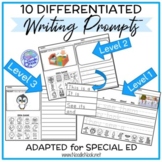 Winter Themed Differentiated Writing (Adapted for Special 